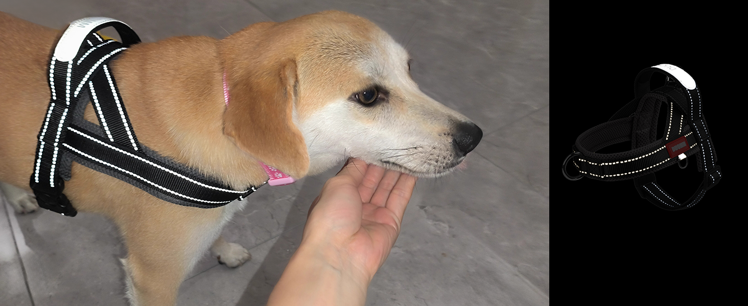 Нашийник для собак середніх та маленьких порід з повідком, кольоровий, з м'якою підкладкою, з ручкою та кільцем, світловідбиваючий, легкий, чорно-сірий, розмір M