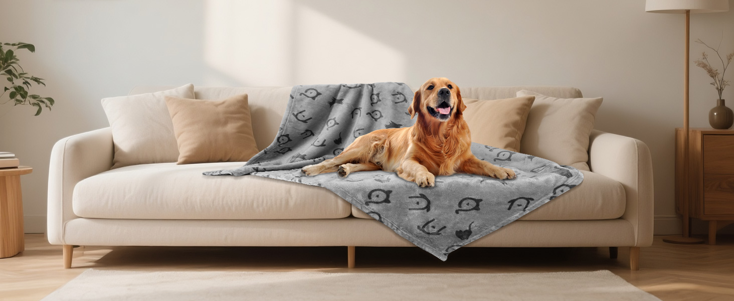 Водонепроникний плед для собак Nobleza XXL (203 x 152 см), м'який та пухнастий, для собак та котів, можна прати в машині, двосторонній чохол для дивану, сірий