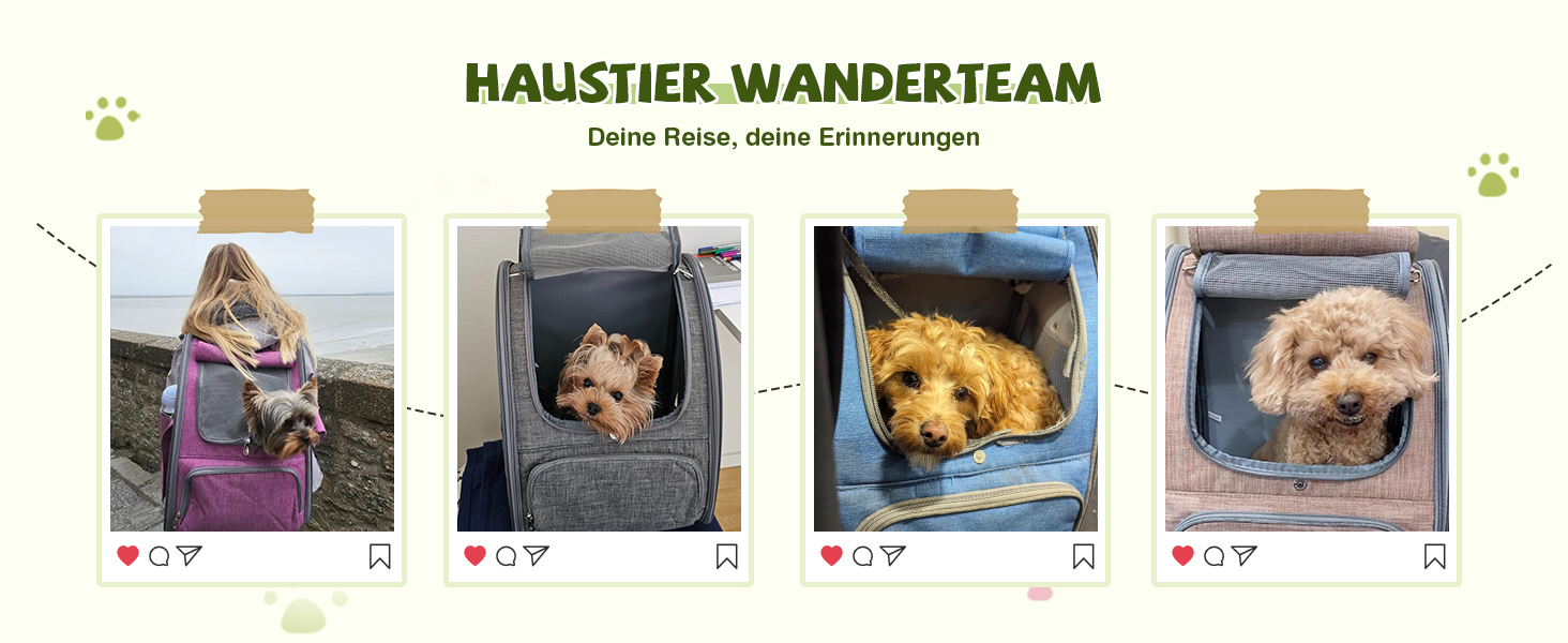 Рюкзак для котів та собак ALLSOPETS, складний, дихаючий, з сонцезахистом, для маленьких котів та собак, ідеальний для подорожей, кемпінгу та піших прогулянок (Беerenроже)