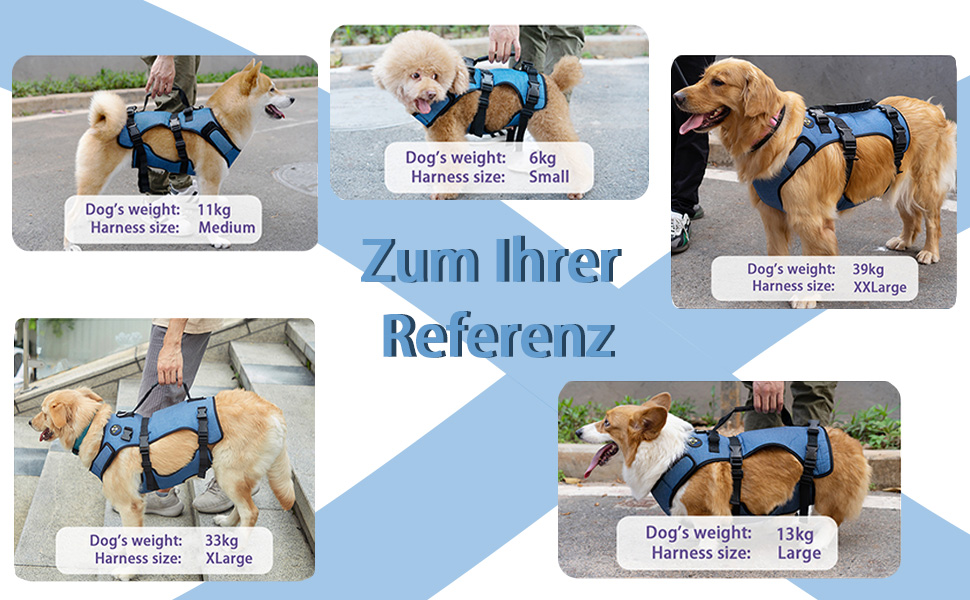 Підтримка для собак COODEO - дихаючий реабілітаційний пояс для літніх собак з проблемами суглобів, артритом або паралічем, повна підтримка тіла з регульованими ручками (Блакитний, L)