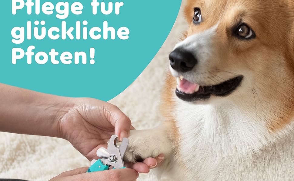 Ножиці для грумінгу собак та котів з високоякісним стопором для захисту від забруднень - включаючи стабільну фіксацію, професійні ножиці з міцної нержавіючої сталі