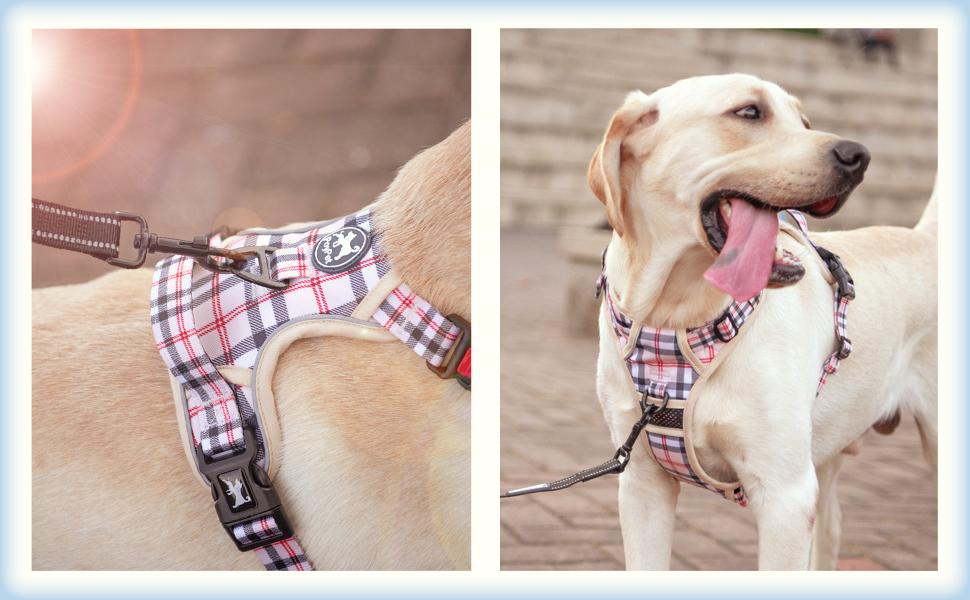 Нашийник для собак PoyPet без натягу, світловідбиваючий, м'який, з легким доступом, для маленьких собак (S, в клітинку, бежевий)