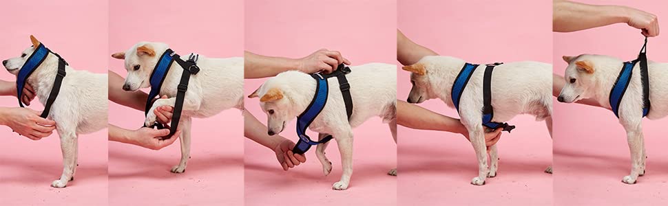 Нашийник для собак Gooby Comfort X для прогулянок та дому, чорний, розмір M, захист від задушення, для собак малих та середніх порід