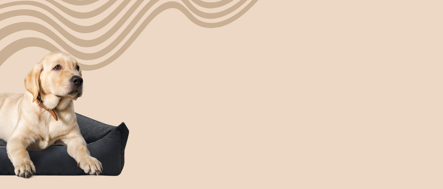 Будка для собак та котів ODOLPLUSZ - комфортна, миюча, чорна (M)