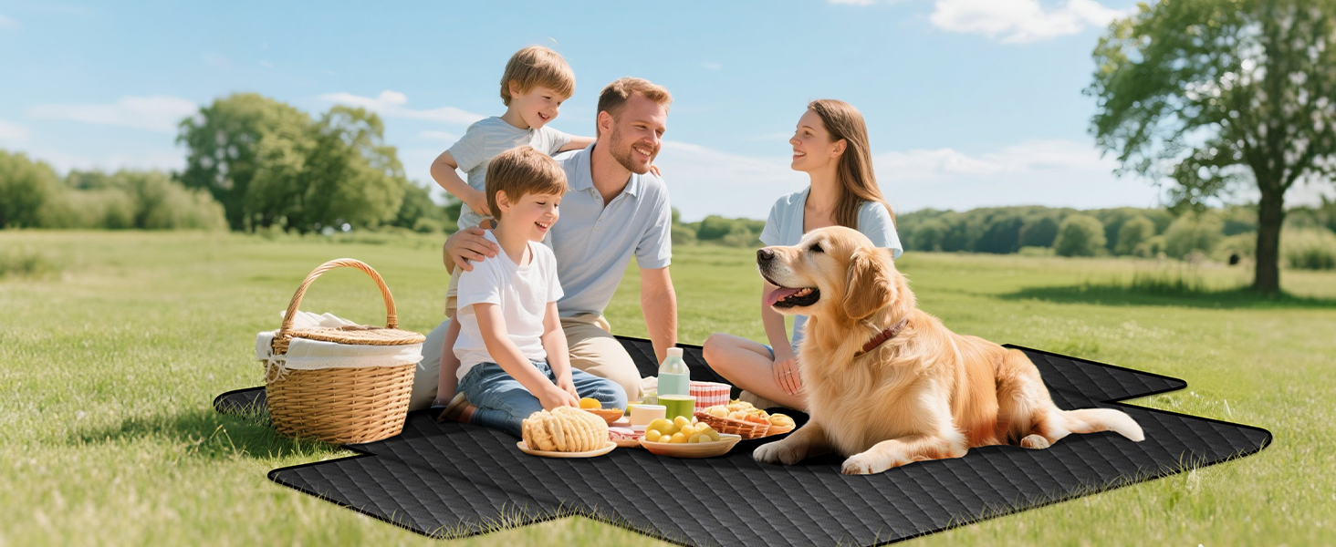 Захист для багажника автомобіля для собак: водонепроникний та стійкий до подряпин килимок з захистом бокових панелей та краю багажника. Легкий у догляді та міцний, чорний.