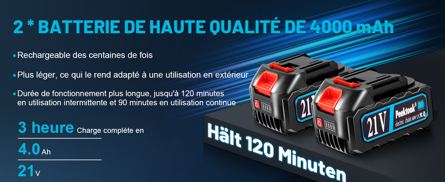 Акумуляторна міні-пила для саду: 6-дюймова пила з двигуном 1000W та акумуляторами 4000mAh, 2 ланцюги, захист від випадкового ввімкнення