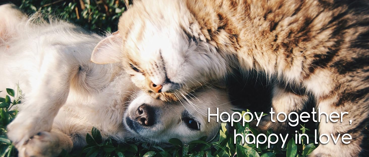 Сходинка для собак COZY KISS, 60 см, для маленьких собак, котів, знімний чохол, щільний пінопласт