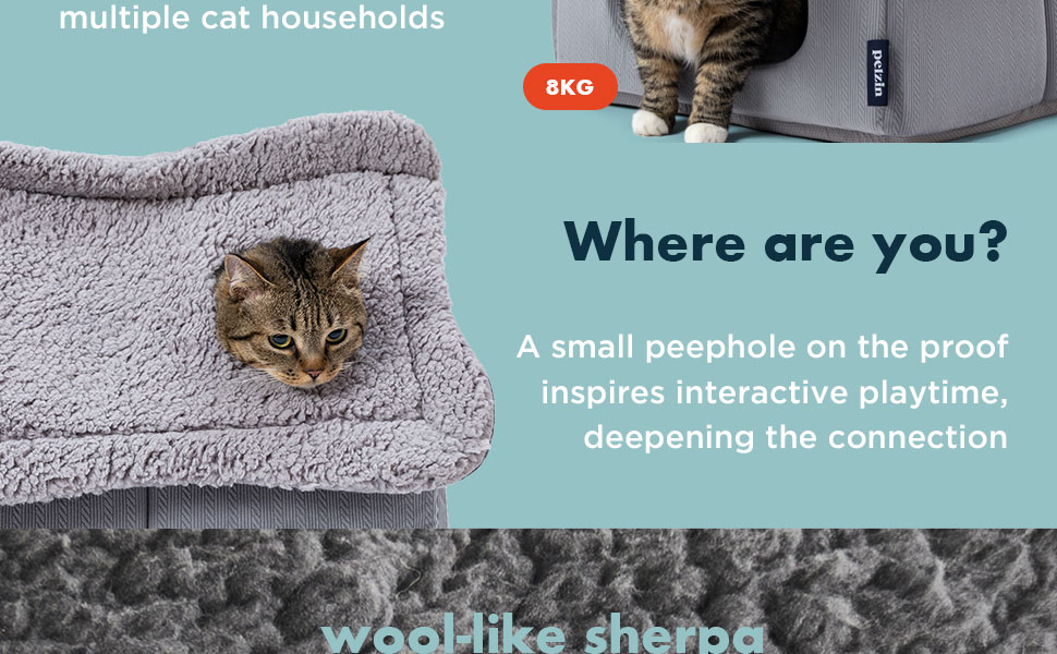 Будиночок для кота - затишний притулок знімним матрацом та килимком. Зроблений з вапняку.