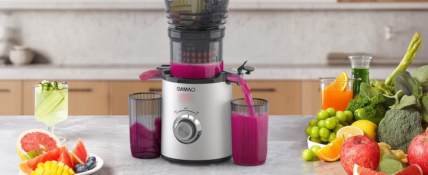 Шнекова соковижималка OMMO Slow Juicer для овочів та фруктів, 300 Вт, срібляста