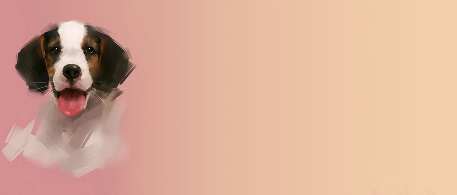 Тактичне нашийник для собак з ручкою, XL, зелений. Міцний, регульований, з металевою застібкою та неопреновою підкладкою