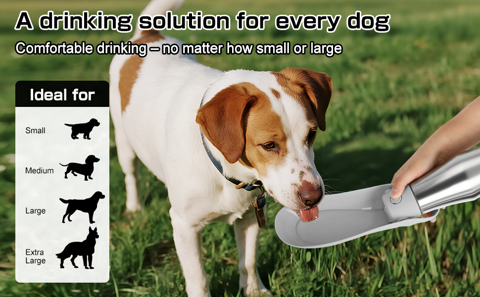 Водяна пляшка для собак на прогулянці 750 мл - витоки неможливі, нержавіюча сталь, подвійні стінки, ізольована, сірий колір