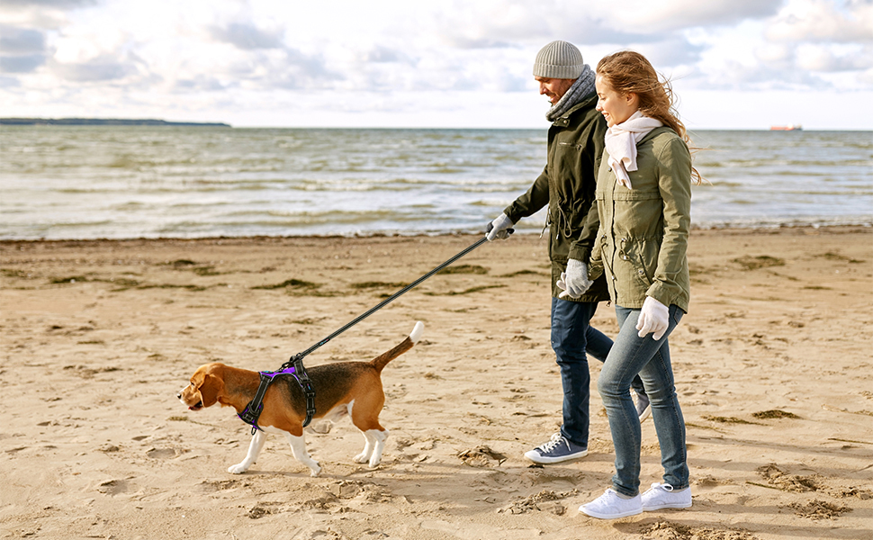Шлейка для собак PHOEPET регульована, для прогулянок, з карабіном, світловідбиваючими смугами, ручкою, для собак середніх та великих порід (M, фіолетовий)