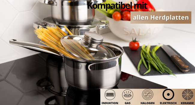 Danik Standard Stainless Steel Cooking Pot with Glass Lid, 20 cm, 4 Liters, Soup Pot/Noodle Pot/Pasta Pot, Silver