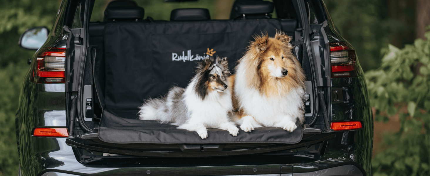 Захист для багажника автомобіля від бруду та подряпин для собак Rudelkönig - Водовідштовхувальна та зносостійка підстилка з кишенею - Універсальний килимок для багажника для собак (Чорний, Базовий)