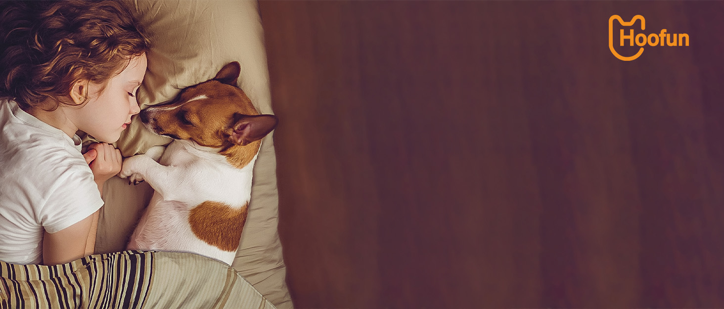 Професійна машинка для стрижки собак та котів Hoofun 4-в-1, IPX7, бездротова, з 4 насадками, для собак, котів, кроликів (біла/блакитна)