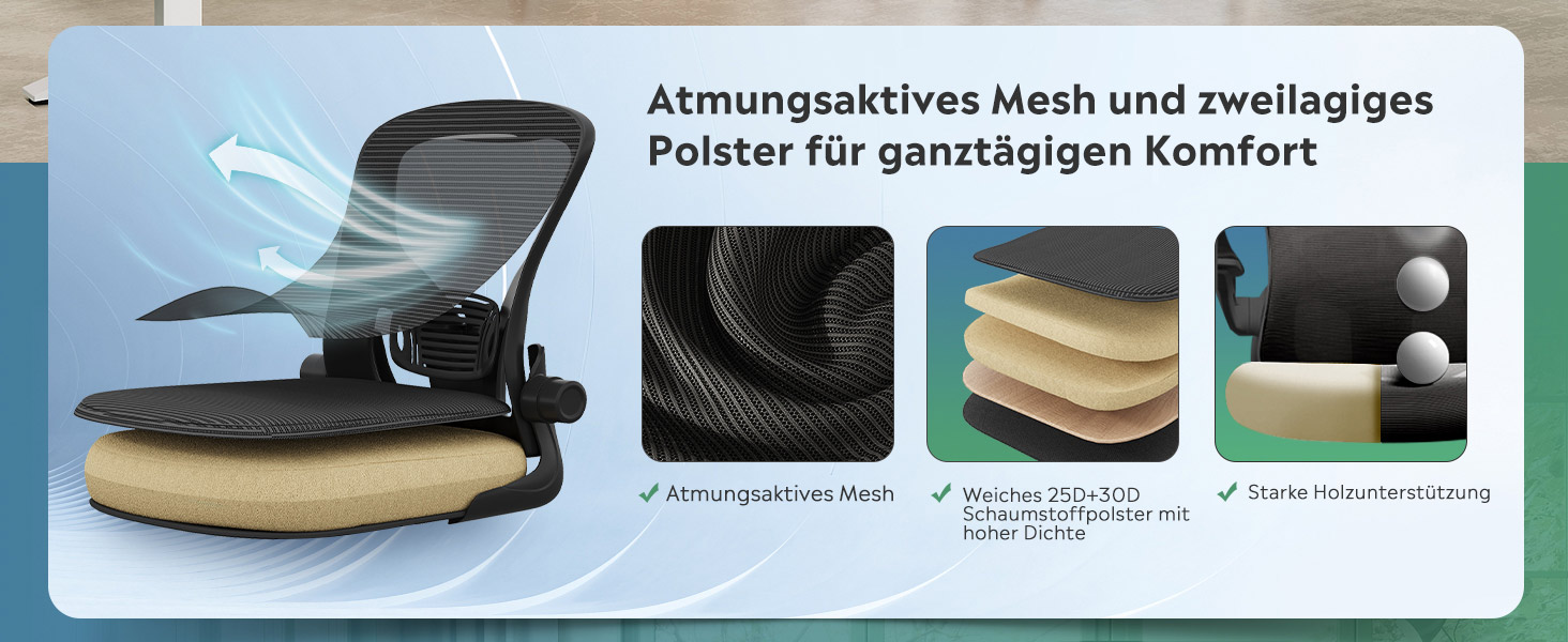 Офісний стіл DEVAISE: ергономічне крісло з регульованою поперековою підтримкою та відкидними підлокітниками, регульована висота, до 136 кг, для офісу (Чорний, без підголівника)