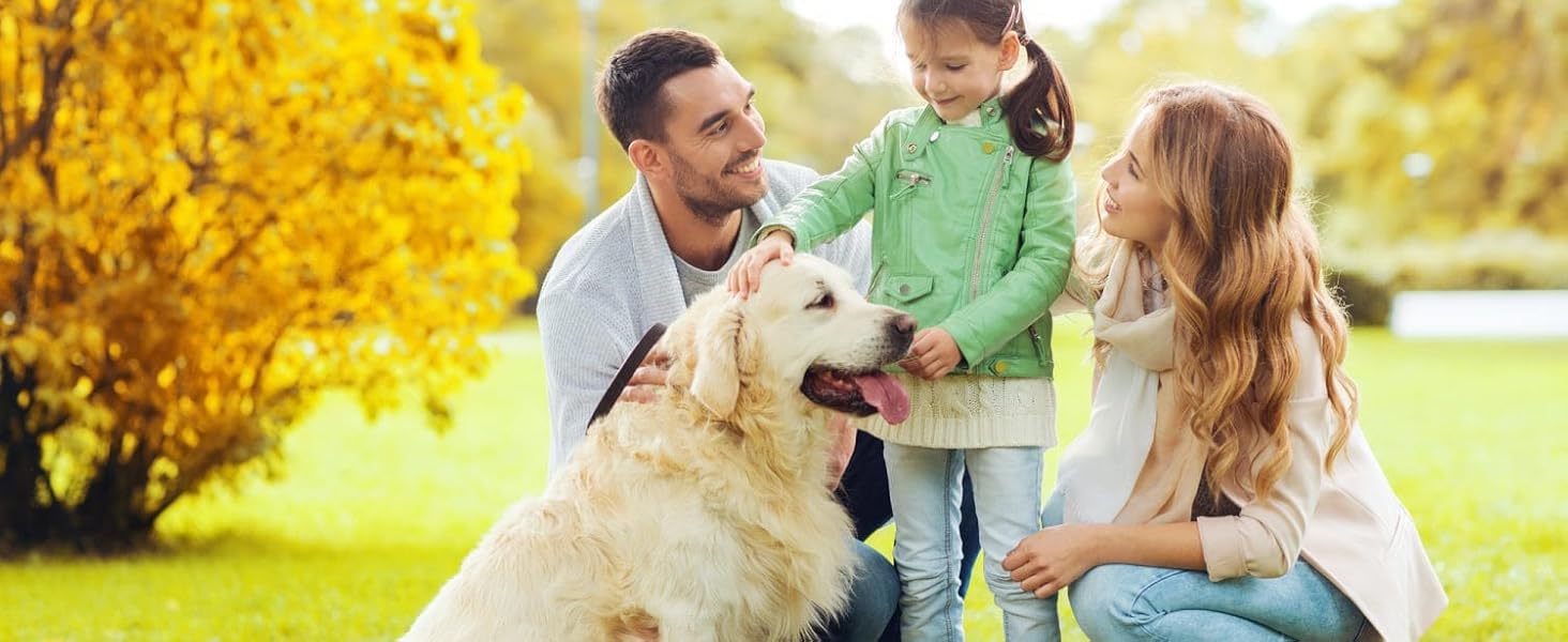 Автокрісло для собак - комфортне та дихаюче, для маленьких та середніх порід