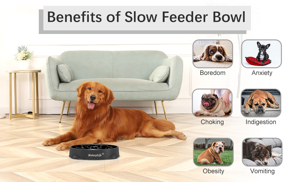 Набори мисок для собак MateeyLife 2 шт. - Anti-слиз, Slow Feeder, для великих та середніх собак, синього кольору
