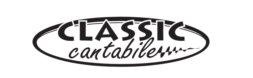 Скрипка Cantabile Brioso 4/4 – повний набір для студентів (дерев'яний корпус, кoffer, стійка, струна)