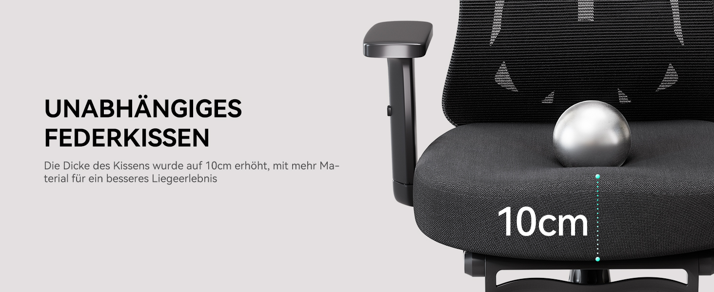 Hbada P5 Ergonomic Office Chair with Adjustable Lumbar Support, Breathable Seat Cushion, Footrest, Black Computer Desk Chair