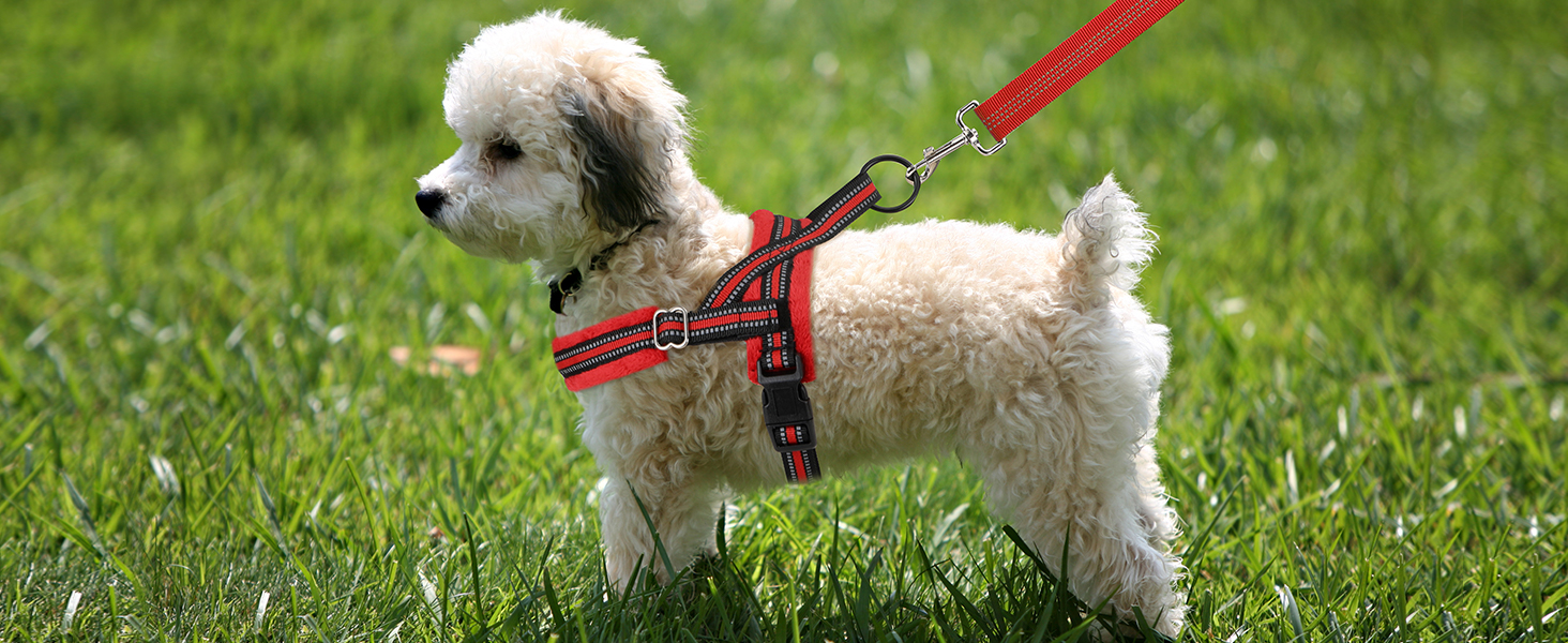 Шлейка для собак середнього та малого розміру з повідком, м'яка, не тягне, чорна, розмір S