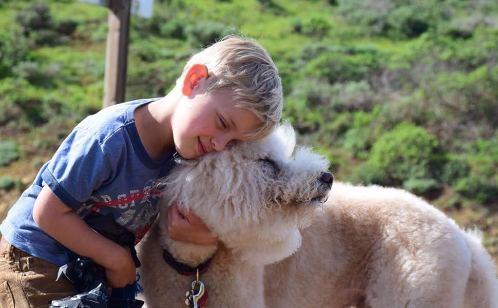 Ортопедичне ліжко для собак Elropet з м'якого корду, корзина для собак (Оливковий, XS/S/M/L/XL)