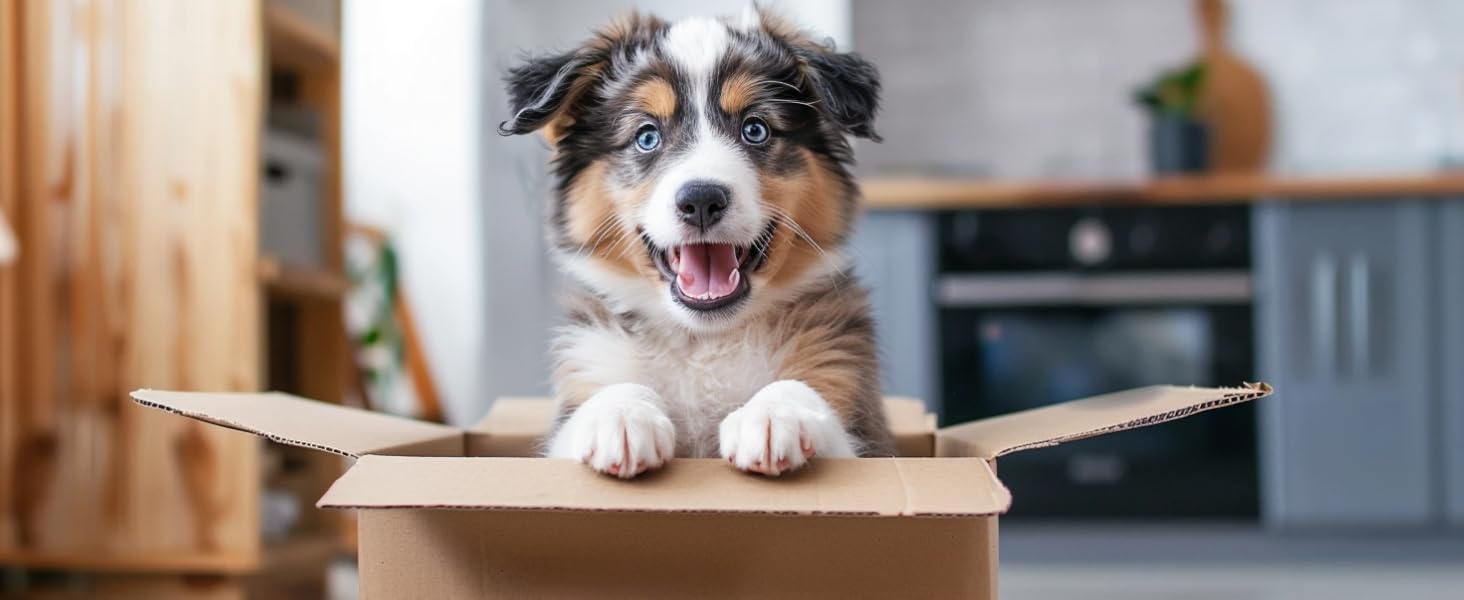 Лягушкове ліжко для собак BedDog Zara, м'яке ліжко-подушка для собак знімним та пральним чохлом, кошик для собак, собаче ліжко-диван, для маленьких собак, S L 70 x 55 x 18 см, світло-пісочний (світло-бежевий)