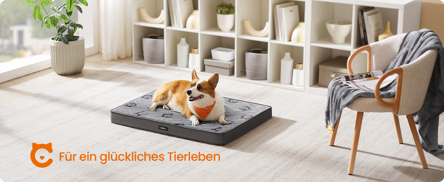 Крізь для собак Feandrea, м'яке ліжко для собак, знімний килимок, водонепроникне, 76 x 51 x 8 см, розмір M, для маленьких та мініатюрних собак, Taubengrau PGW241G01 (L (91 x 63 x 8 см))