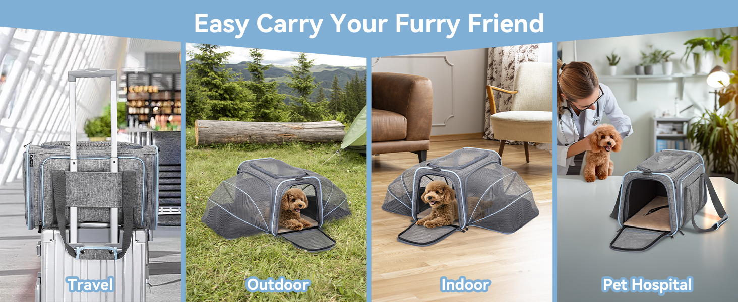 Транспортна переноска для кота/собаки Petsfit - складана переноска для авто, сіра, M