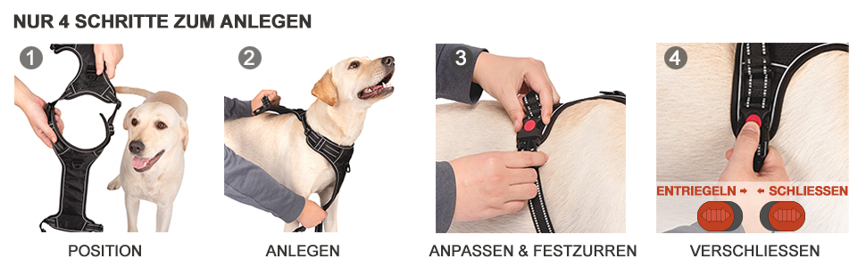 Нашийник для собак Haapaw без натягу, регульований, світловідбиваючий, Оксфорд, зручне керування, середній розмір, міцна собача лінія, синій (1 шт.)