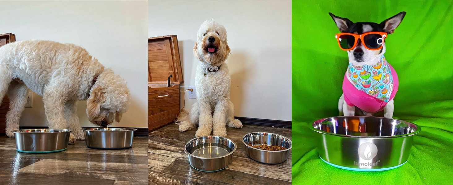 Набір мисок для собак LumoLeaf, нержавіюча сталь, великі, 2 x 3000 мл, з протиковзким силіконовим дном, для великих і середніх собак, миска для їжі та води, придатна для миття в посудомийній машині (подвійний набір)