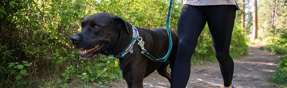 Нашийник для собак RUFFWEAR Web Reaction, синій, 28-36 см