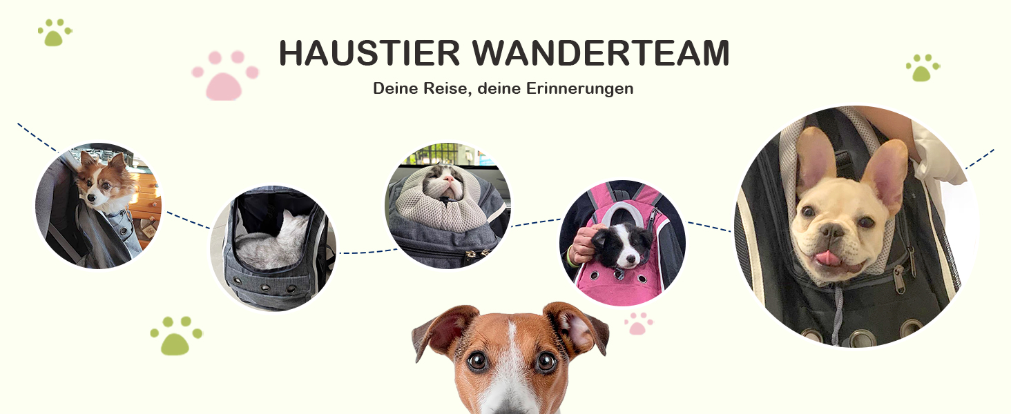 Рюкзак-переноска для собак та котів ALLSOPETS: зручний та дихаючий рюкзак для подорожей з великими котами та маленькими собаками (Світло-сірий)