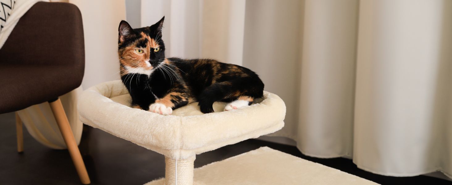 Cat scratching post with a cozy lying area & cave, height 50 cm, cat tree with plush ball incl. bell, sisal rope & soft plush, suitable for small & large cats, beige