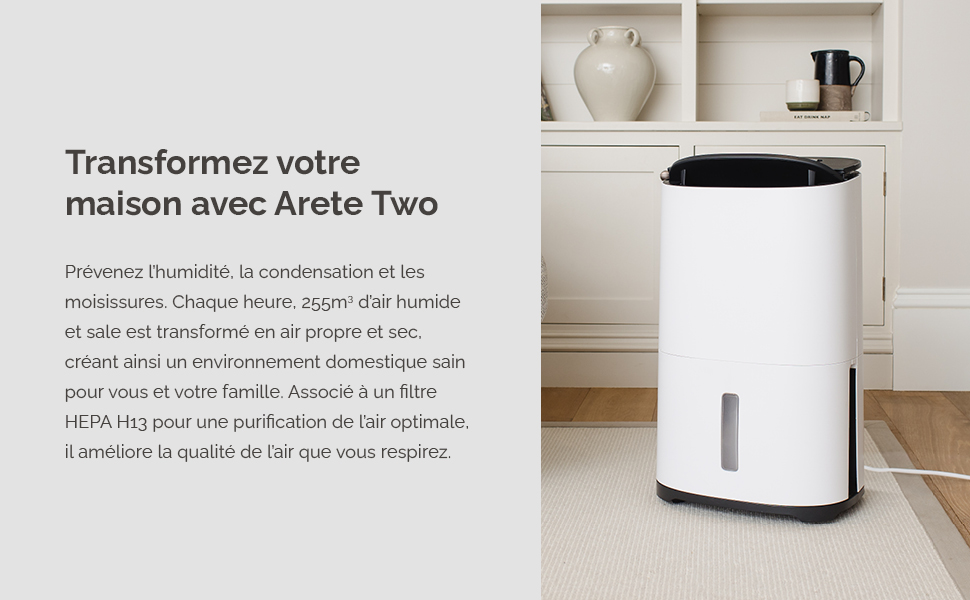 Зволожувач повітря MeacoDry Arete One 6L з очищувачем повітря | Тихий (32 dB), H13 HEPA-фільтр, для спалень та кімнат | 1.8L резервуар