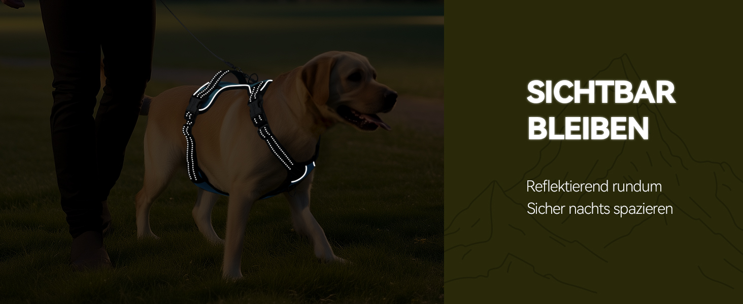 Шлейка для собак VIVAGLORY Easefit, анти-тяга, з ручкою, для тренувань та прогулянок, з м'якою підкладкою, не тягне, захист від вислизання, чорна, M (51-74 см обхват грудної клітки)