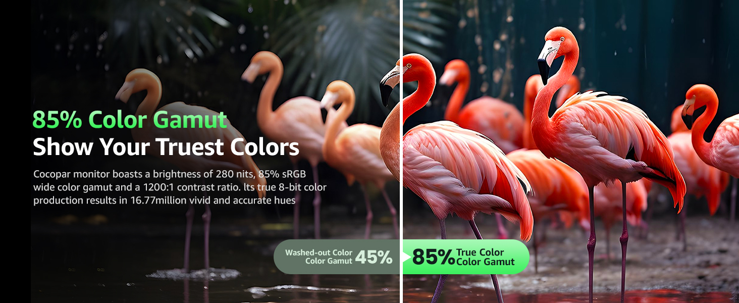 Портативний монітор 15.6