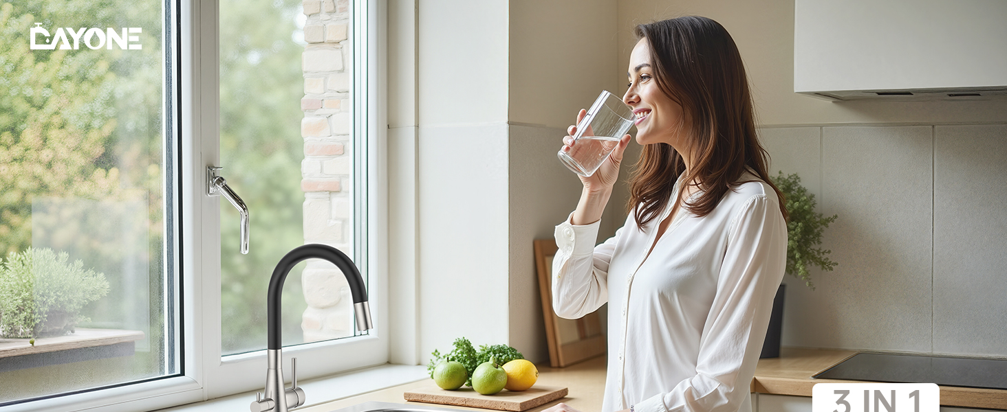 Кухонний змішувач Dayone з висувним виливом, нержавіюча сталь SUS304, високий тиск, 360° обертання, 2 функції, для кухні