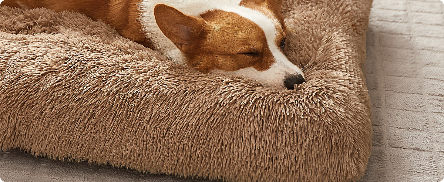 Ліжко для собак Feandrea з м'яким лежаком, 65x45 см, Ombré Grey, машинне прання, багатофункціональне, PGW200G01