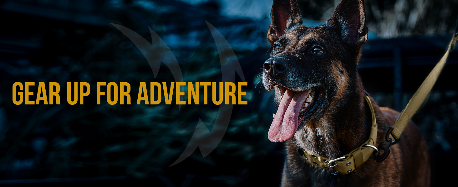 Нашийник для собак OneTigris 5 см з ручкою та патчем, чорний, великий, L