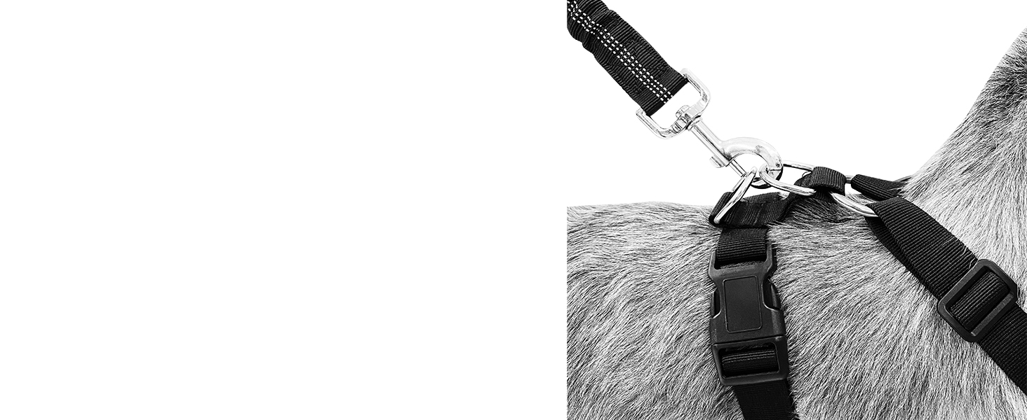 Автомобільний нашийник для собак з кріпленням для безпеки, 2 карабіни, регульований, дихаючий (Чорний, M)