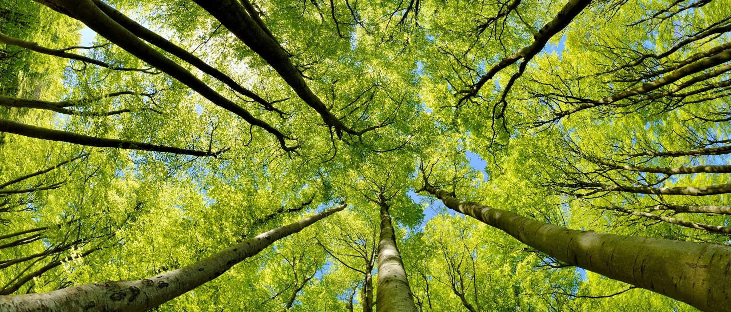 MOON HOME Миска для перемішування Big Turbulence, з гумовим протиковзким дном, з нержавіючої сталі, придатна для миття в посудомийній машині, ідеальна для приготування та випікання, міцна кухонна миска, Ø24 x 13 см, велика