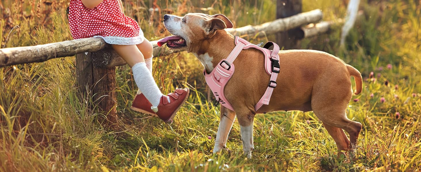 Шлейка для собак HEELE з регулюванням натягу, світловідбиваючі елементи, м'яка ручка, контроль, 2 металеві кільця, для малих, середніх та великих собак, Aree, Зелений, C-Aree Grün (XS, Uni-Pink)