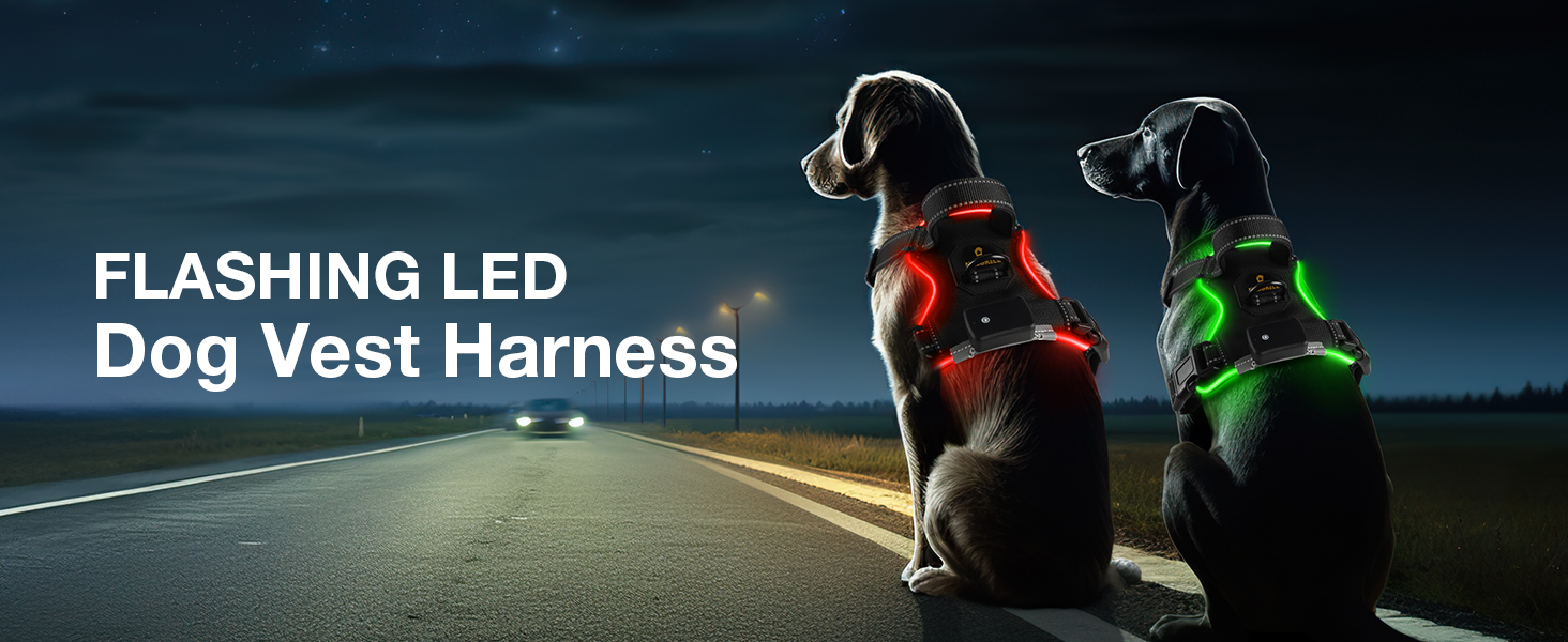 Світловідбиваючий нашийник для собак Masbrill з LED-підсвічуванням, регульований, з ручкою, м'який, для малих, середніх та великих собак (Синій L), Чорно-синій, TC3005B L Чорно-синій