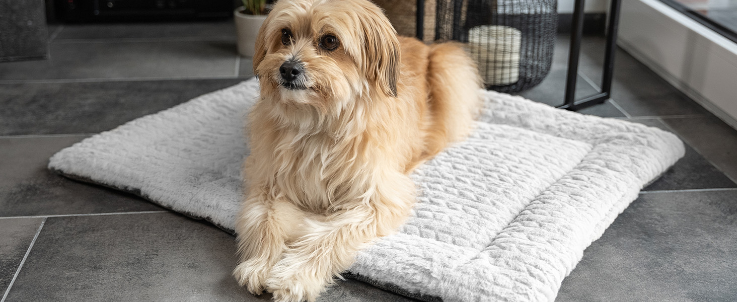 TrendPet Лежанка для собак і котів, двостороння, з підкладкою, сіра (50x35 см)