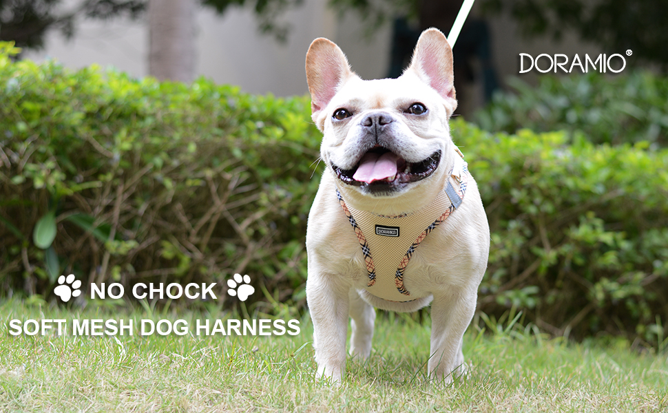 Шлейка для собак маленьких порід з повідком, Step-in шлейка, світловідбиваюча, дихаюча, для грудної клітки, анти-тяга, безпечна, шлейка для котів (Бежевий, S) S Бежевий