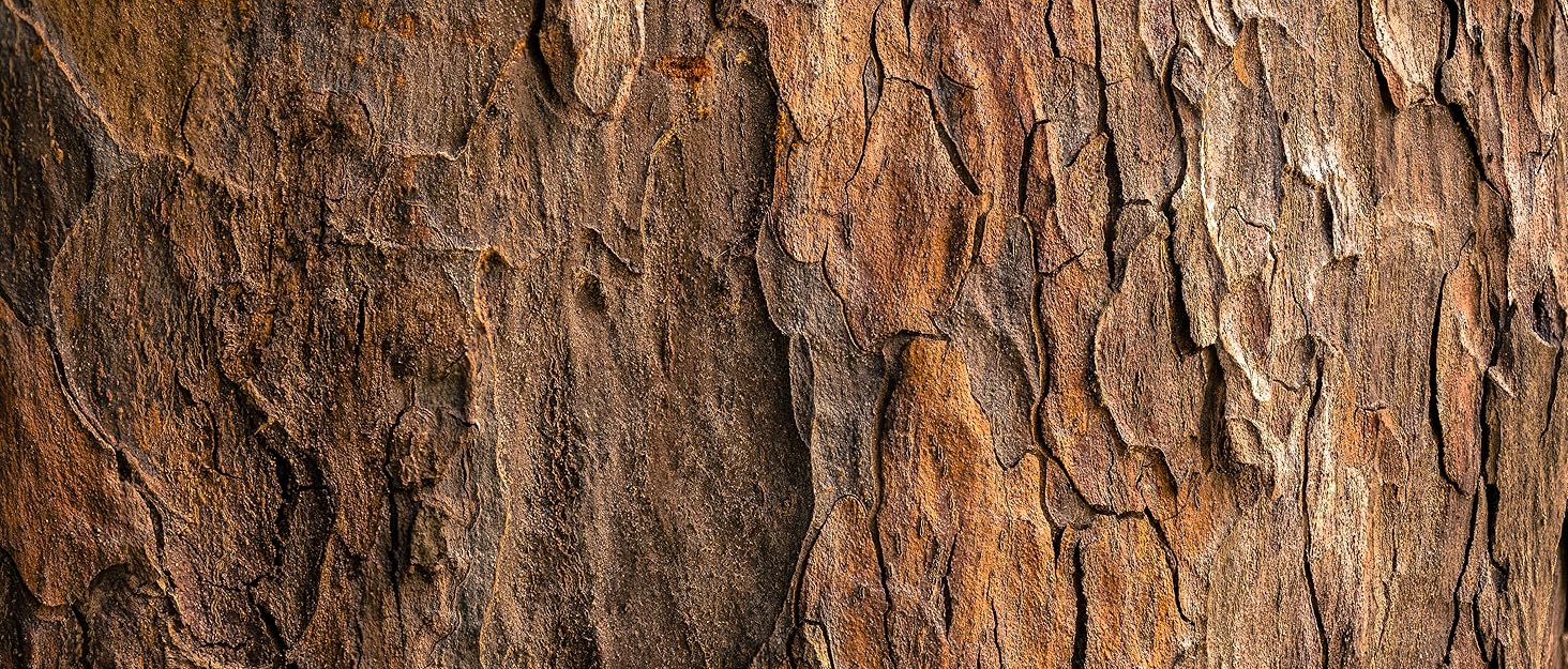 Чоловічий шкіряний ремінь Volmer ATG 01-bur-roma з автоматичною застібкою та регулюванням | Ширина 35 мм, довжина 125 см, колір бордовий