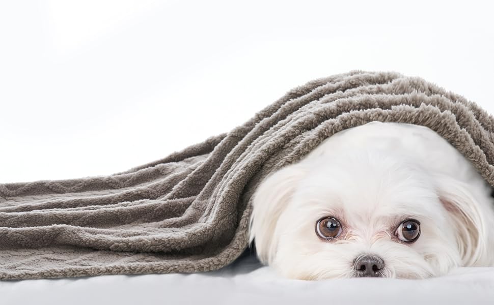 MIULEE Лежанка для собак 70x100 см, м'яка ковдра для тварин, флісова лежанка для собак і котів, легко миється, підходить для собак, котів, морських свинок та інших тварин (X Large(100*160cm), світло-сіра)