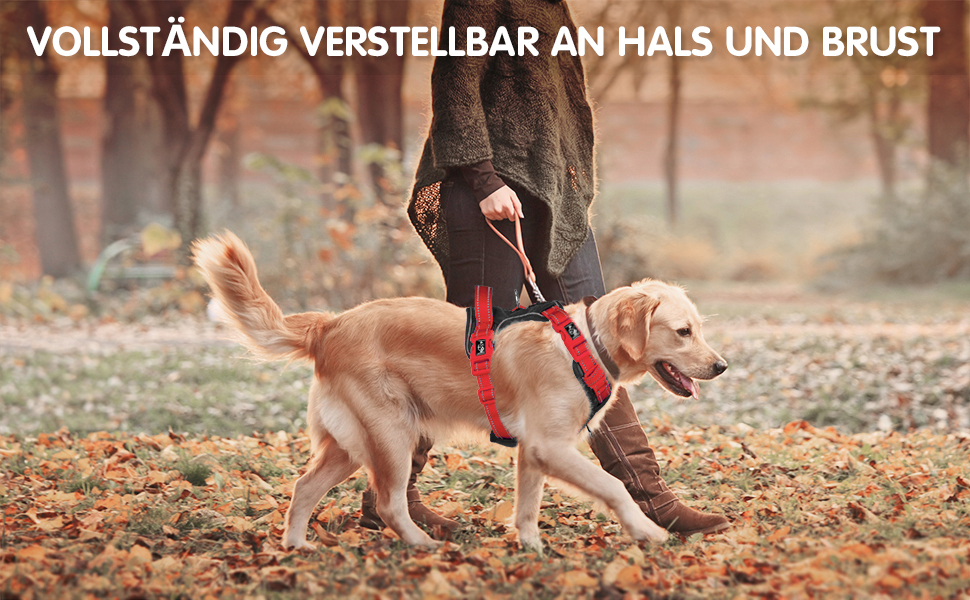 Шлейка для собак PHOEPET Anti-Zug з відбиваючими елементами, регульована, для цуценят та собак різних розмірів (S, чорна база & червоні ремінці)