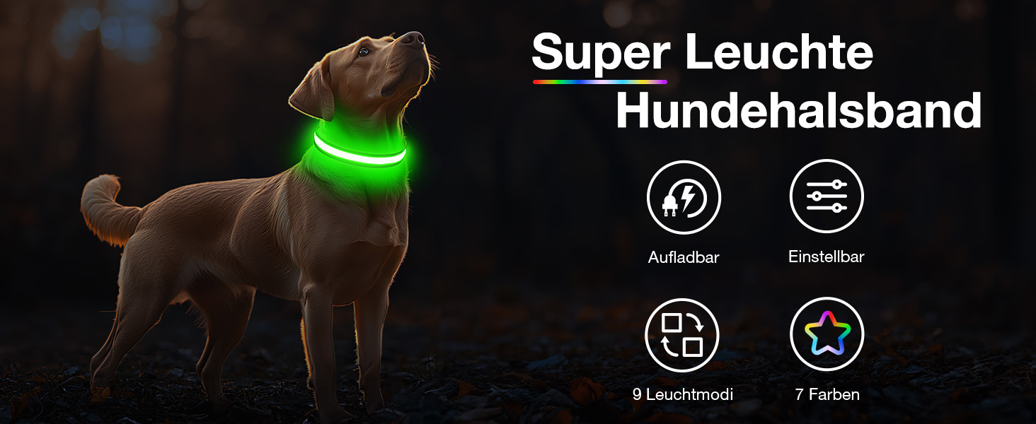 LED нашийник для собак з підзарядкою, вологостійкий світлодіодний нашийник, 7 кольорів, регульований для малих та великих собак, блакитний (L)